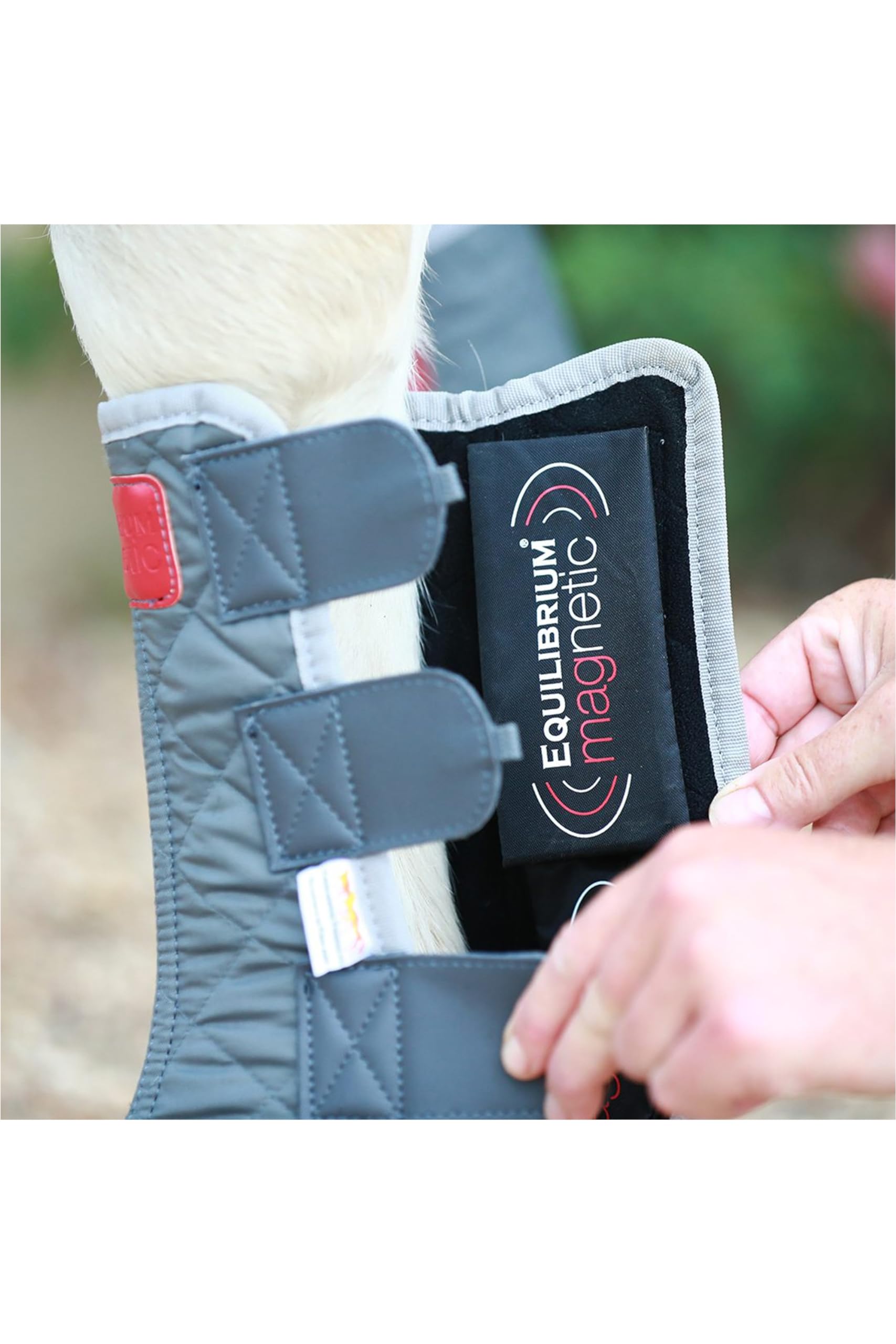 Amazon.com : Equilibrium Therapy Magnetic Chap Small Grey : Pet 