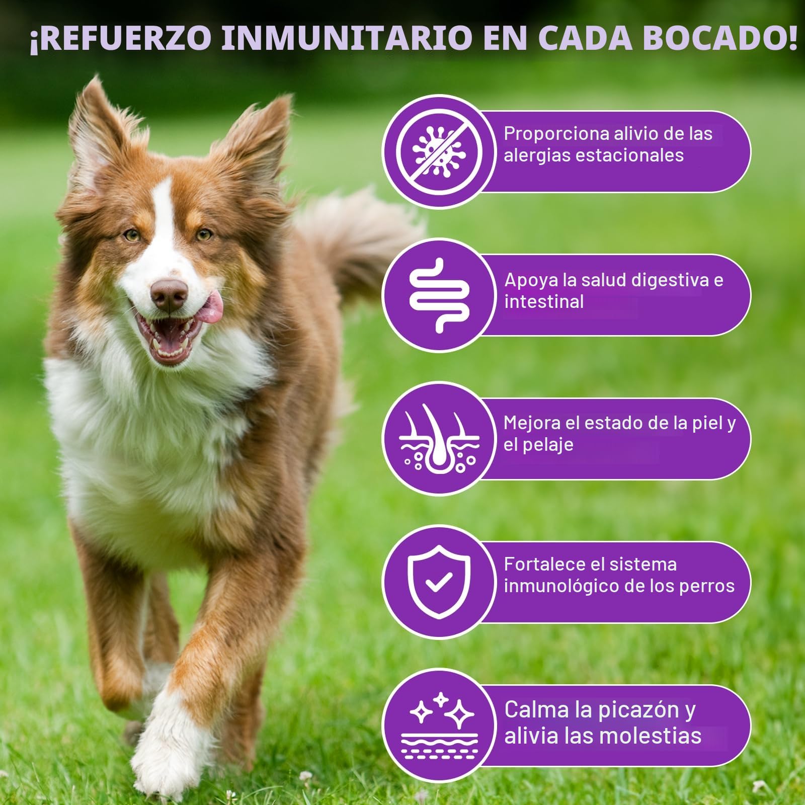Snacks Antialérgicos para Perros - Alivia Picor, Lamido y Caída del Pelo | 150 Golosinas Blandas Sabor Pato Pekín | Refuerzo Inmunitario | Alergias Estacionales/Ambientales (1Pcs)