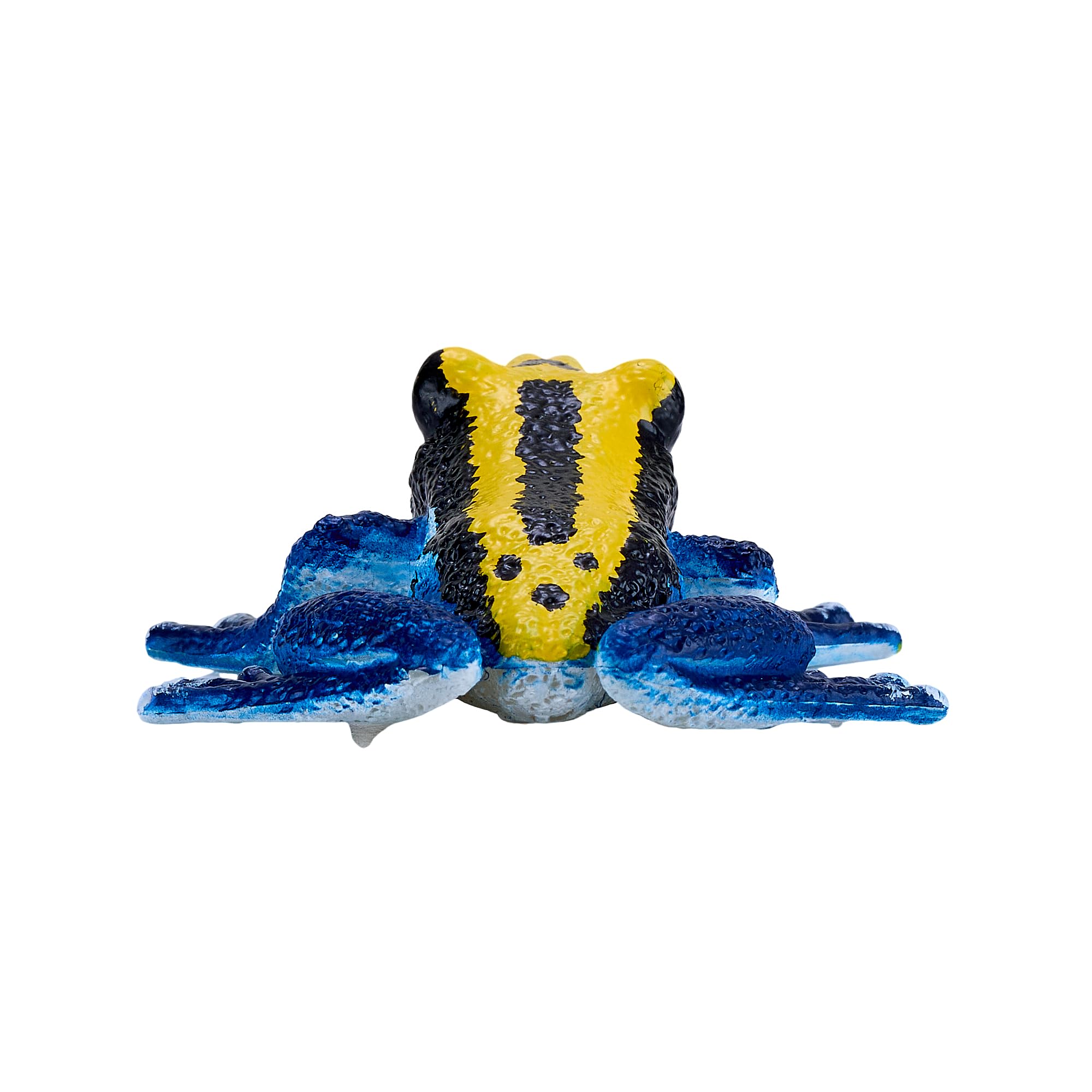 MOJO - Poison Dart Frog, Blue - Image 3