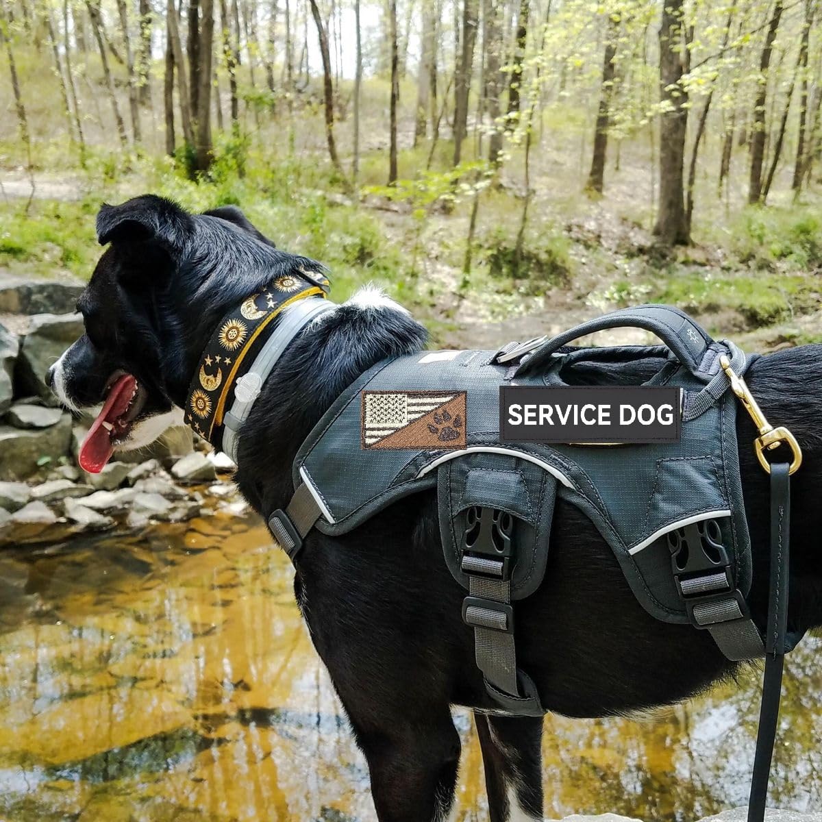 Service Dog Tag, Service Dog Patch and NOT All Disabilities are Visible Patch Hook & Loop for Dog Vest Harness image 5