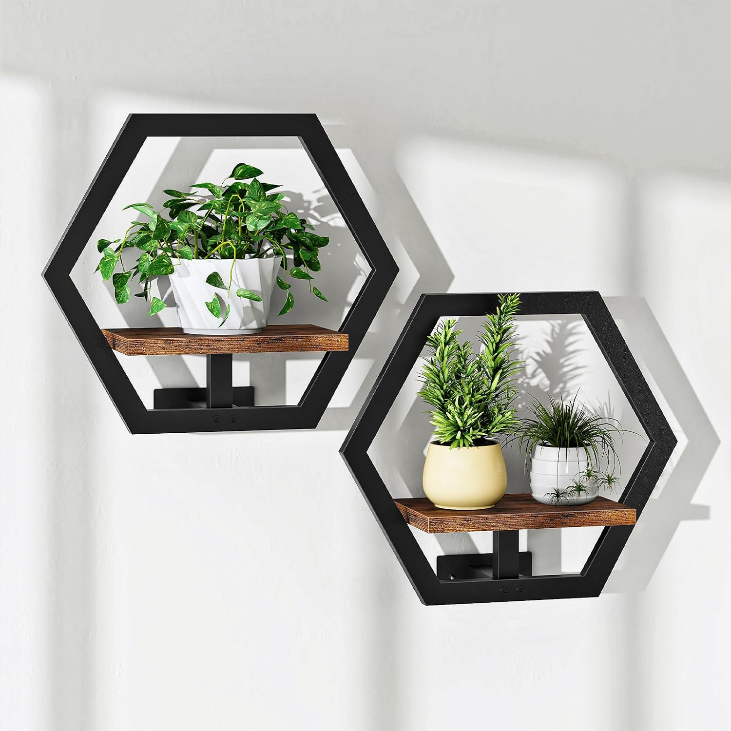 CHOEZON Floating Shelves and Wall Plant Holder Bundle, for Living Room, Bedroom, Kitchen, Home Office, TBJ03P3BF-TBJ40P2BF