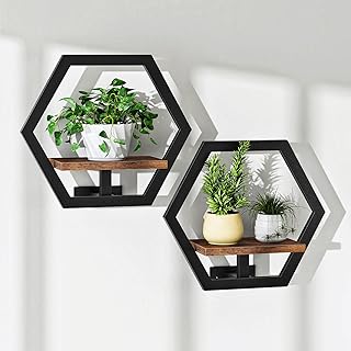 Hexagon Floating Shelves for Wall, Set of 2, Plant Wall Shelf, Wall Deco...