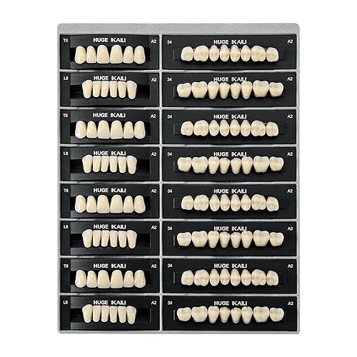 112 piezas de dientes de resina acrílica dental A2 T8, dientes de resina de polímero sintético para reemplazo, Halloween, terror, bricolaje (28