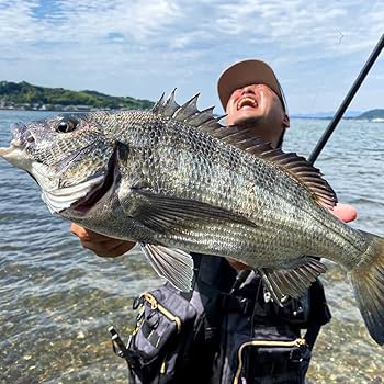 エヴァ　ドレパンルアー　5種コンプセット EVA×DRESS ドレパンルアー