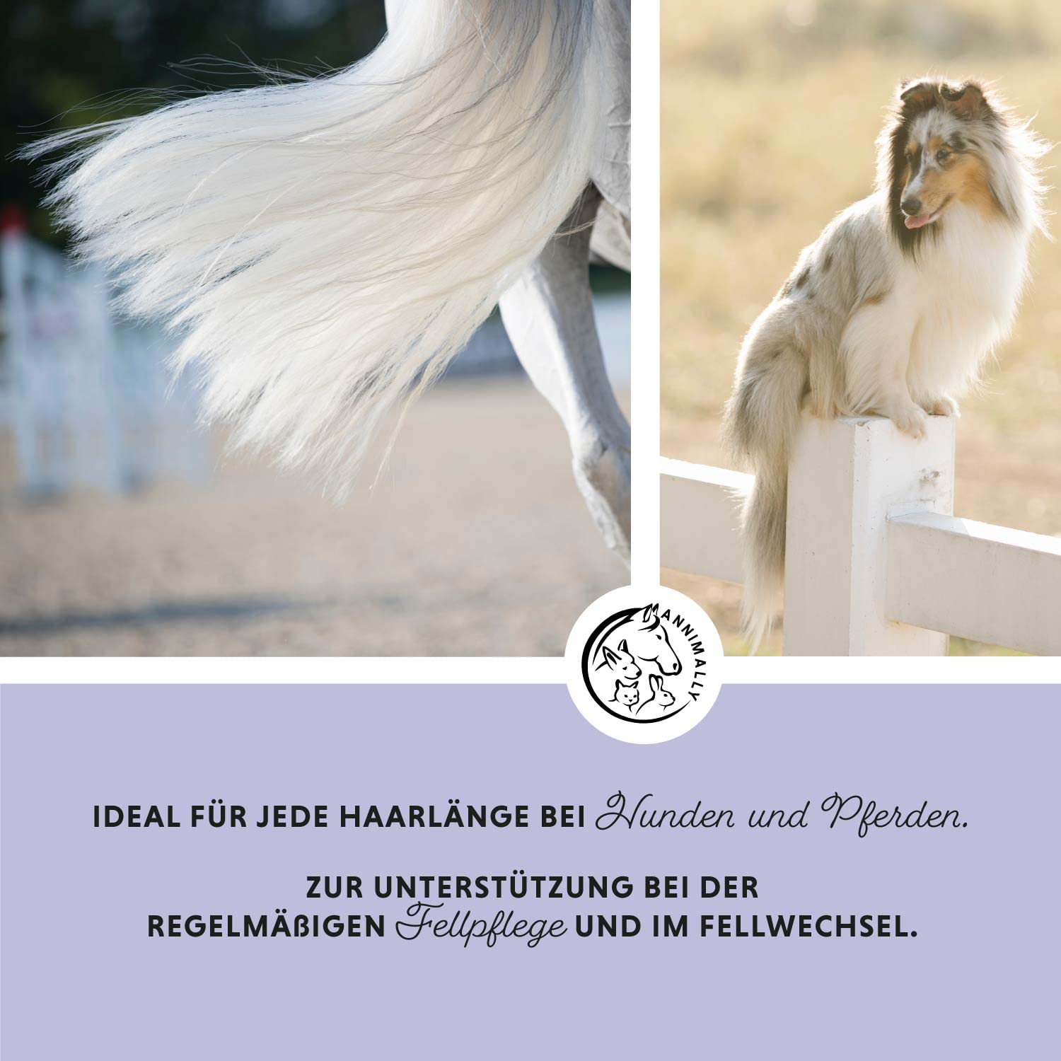 Annimally Spray per Criniera per Cavalli 500 ml - Spray per Coda e Spray Districante per Cavalli e Cani per un Pettinaggio più Facile e una Lucentezza Setosa del Pelo