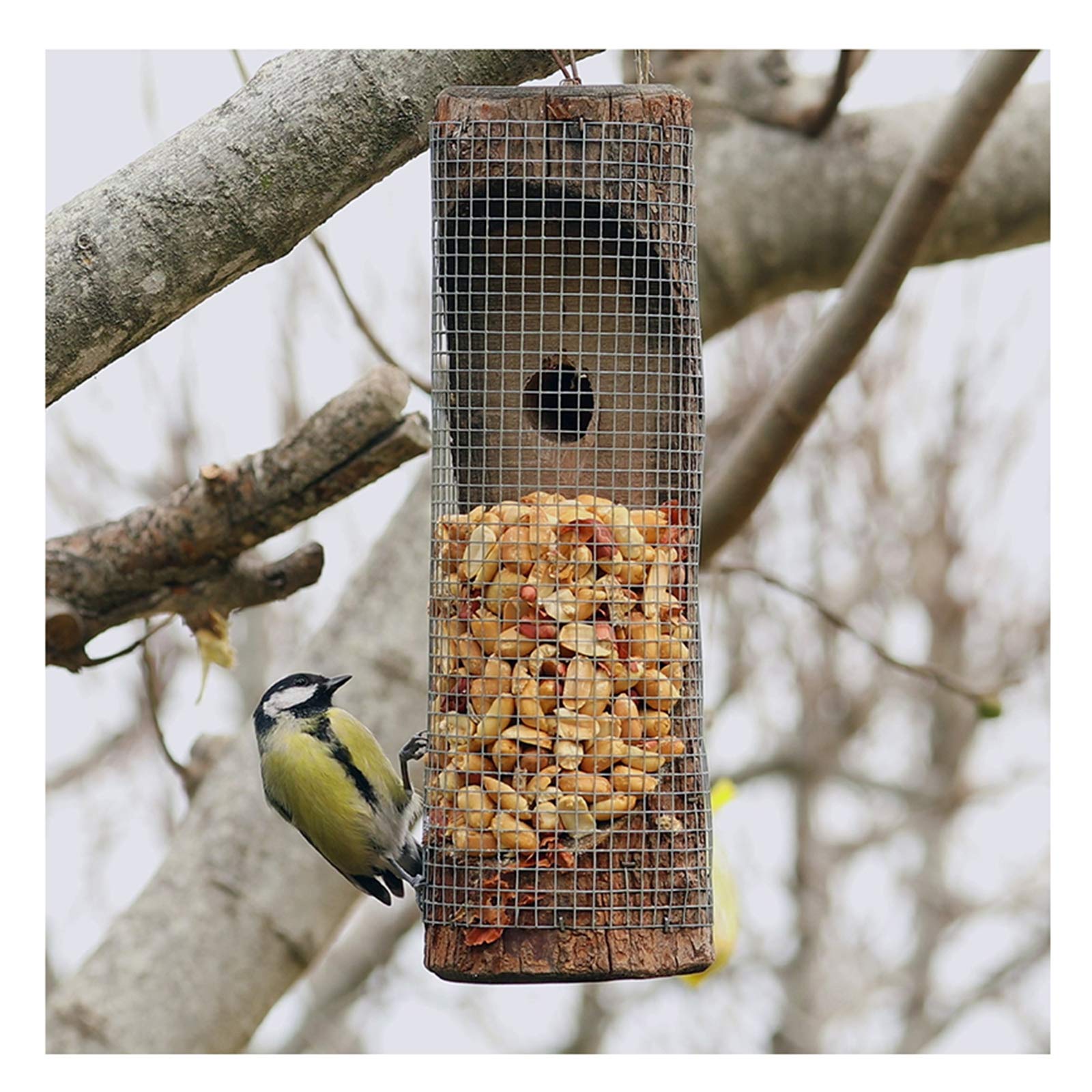 Alimentatore per uccelli, alimentatore per uccelli selvatici appeso all'aperto, uccello selvatico, alimentatore di uccelli gazebo e decorazione del giardino per osservatori di uccelli e bambini
