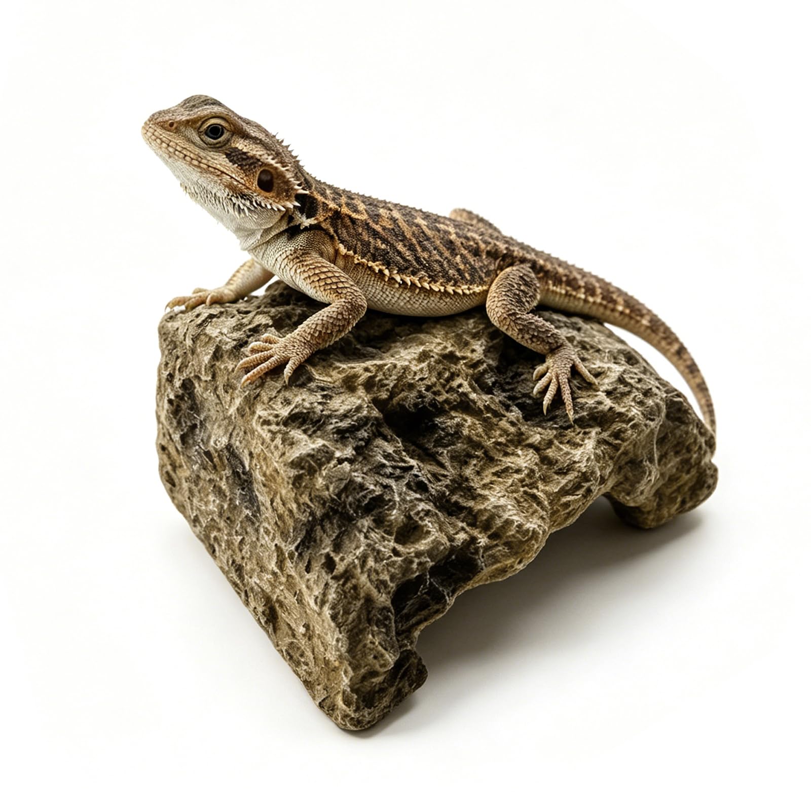 Kryjówka dla gadów z żywicy syntetycznej, jaskinia gadów, 12,5 × 9 × 7 cm, skała gadowa, kryjówka, terrarium, jaskinia, przypominająca skałę, dla gadów i płazów (M)
