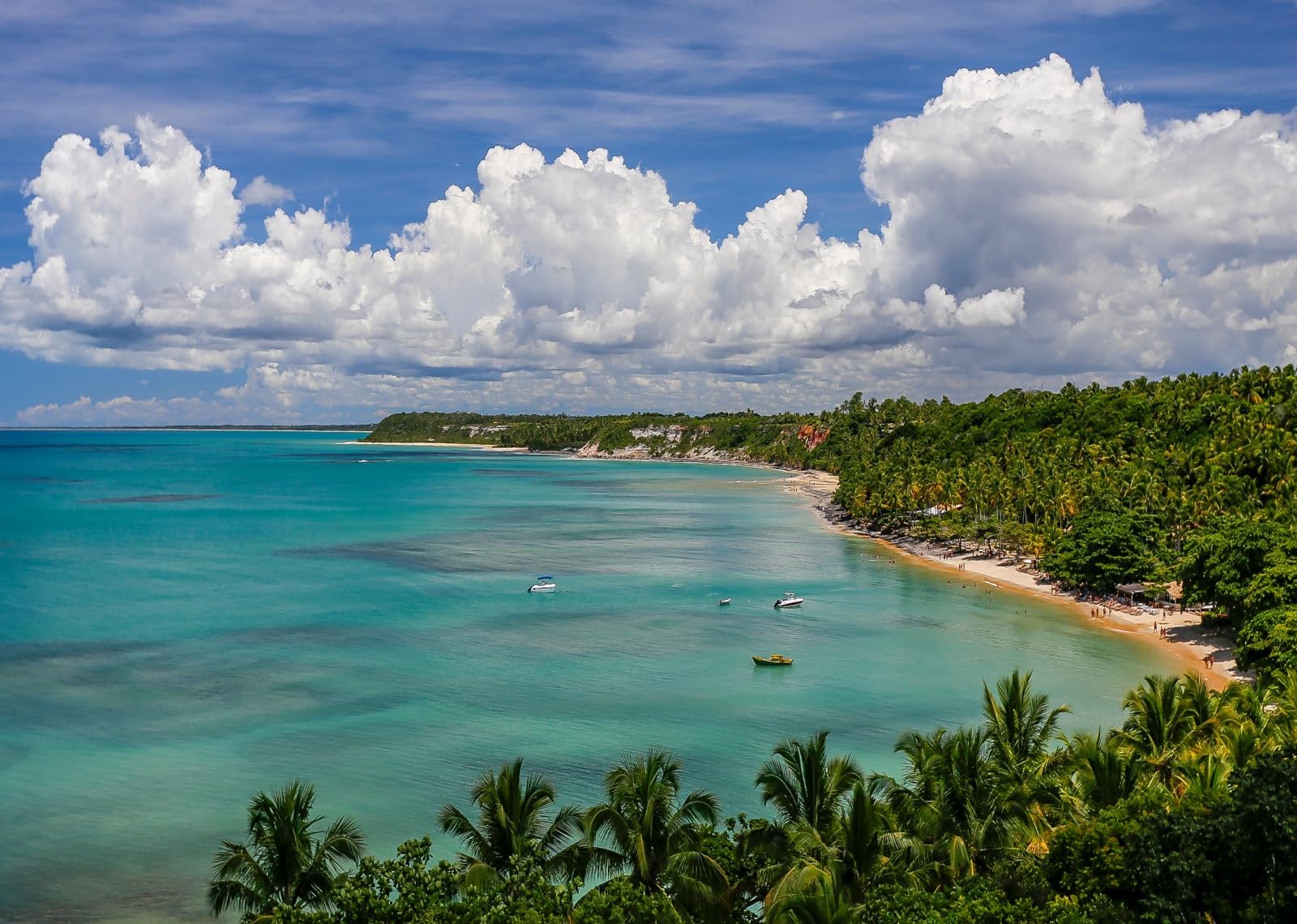 10x8FT (3x2.5m) Baia Tropicale Vista Dall'Alto Sfondo Fotografico | Costa Insulare Panoramica Fondale In Tessuto,Laguna Blu Foresta Di Palme,Per Feste Estive E Foto Delle Vacanze,Photo Booth