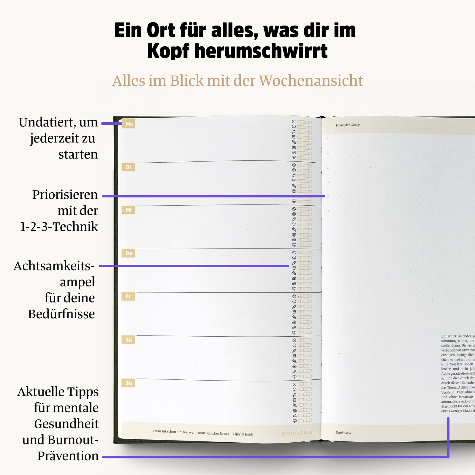 Ein guter Plan Zeitlos – Ganzheitlicher Terminkalender für mehr Achtsamkeit und weniger Stress – Undatierter Wochenplaner mit 56 Tipps und Zitaten ohne Kitsch (Wald)