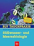 BLV Buchverlag