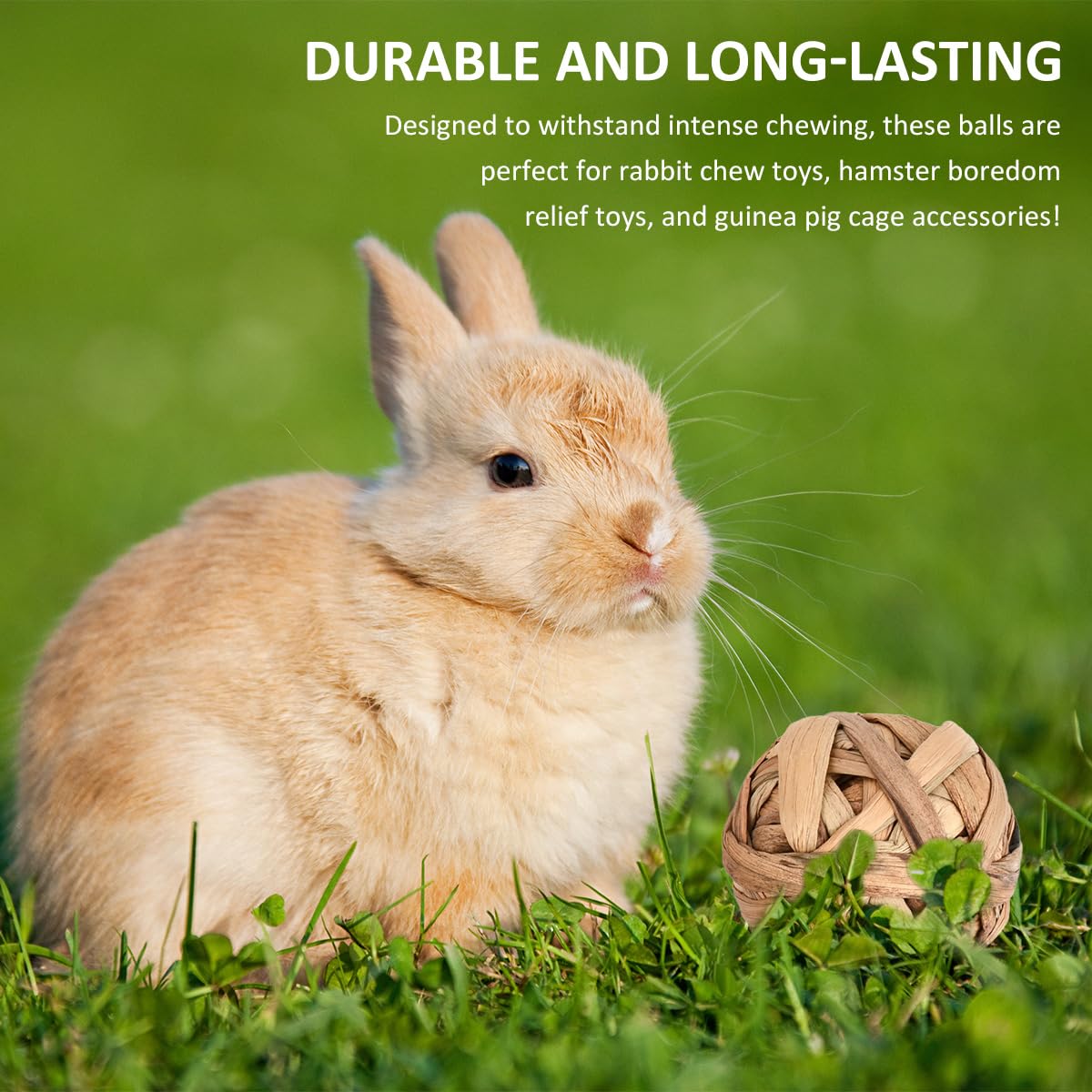 BATINO 12Pcs Rabbit Toys, Rabbit Treats Chew Toys for Teeth Bunny Boredom Breakers - Image 4