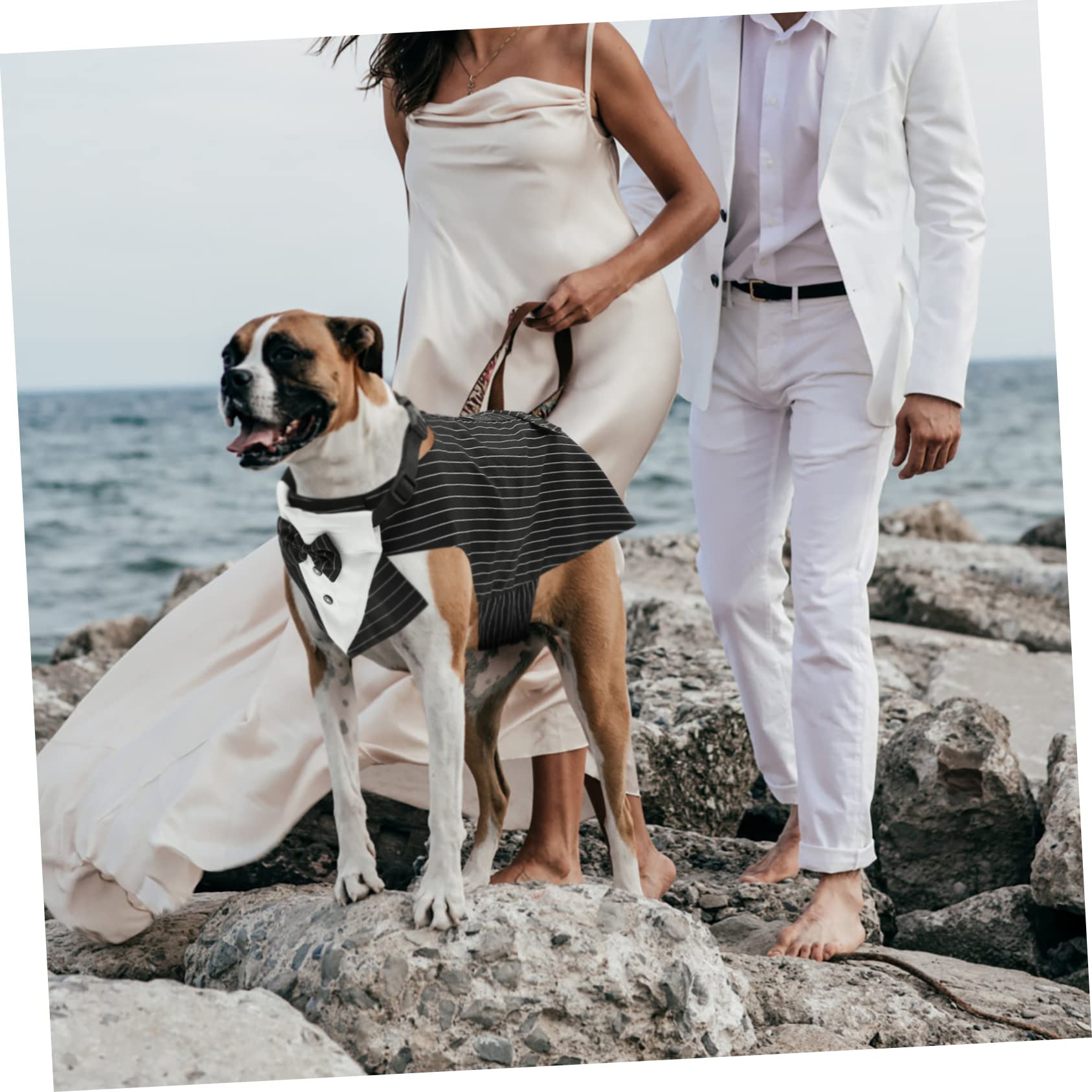 SUPVOX 3juegos Disfraz De Perro Esmoquin y Bandana Traje Elegante para Bodas y Fiestas Accesorio Decorativo para Mascotas