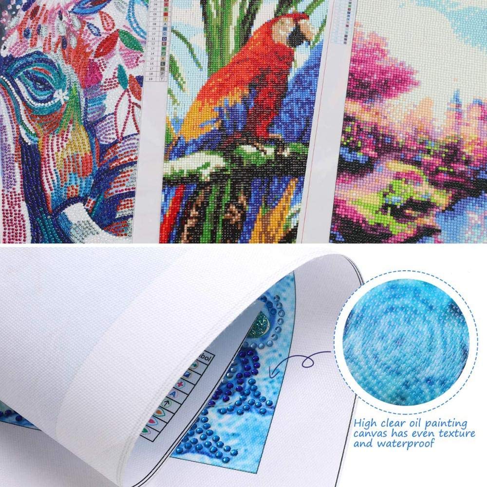 5Dダイヤモンドペインティングキット 猫 ペイントアート ラインストーン Amazon | GHXCTKU 5dダイヤモンド塗装キット DIY ダイヤモンド