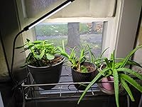 Review Image by Teresa Teresa