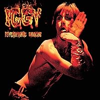 Vista 2 de Psychophonic Medicine