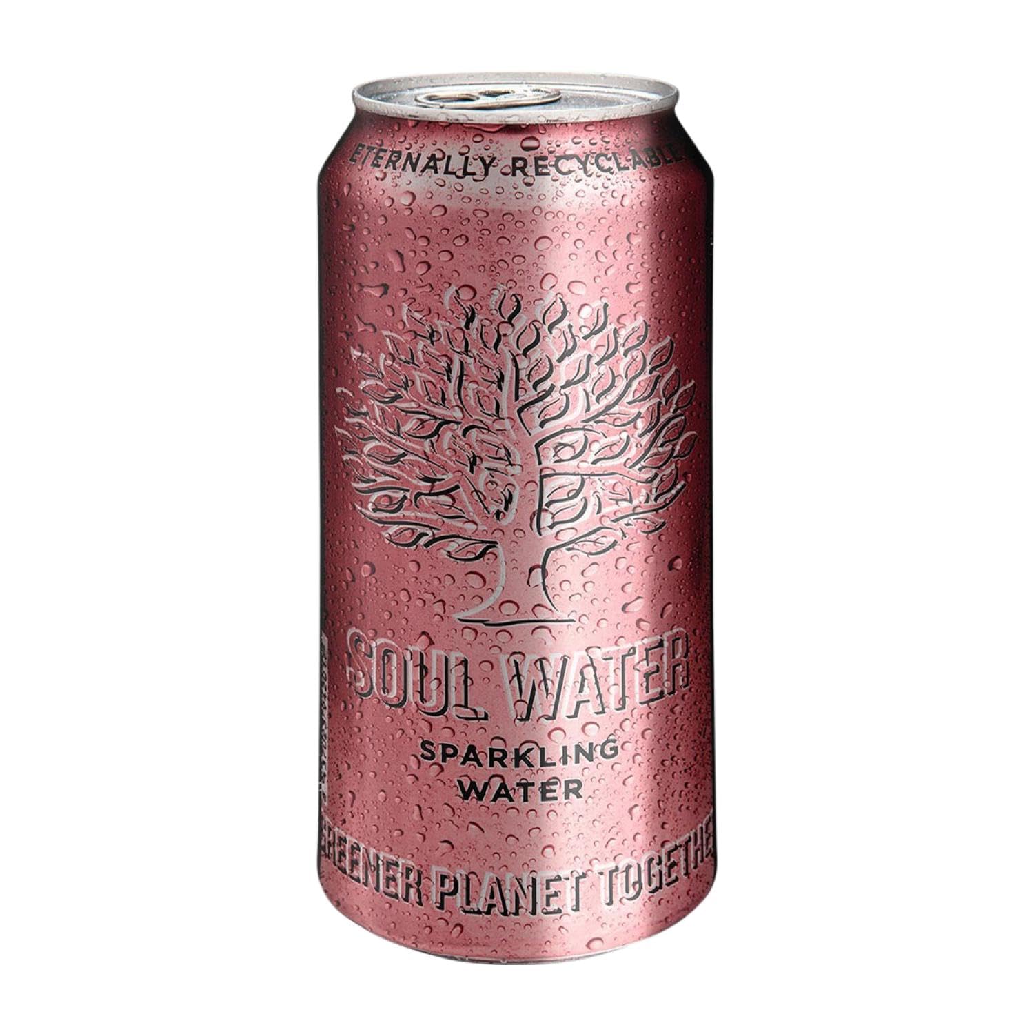 Agua Caja de 24 unidades Menno Koopmans Botella Medium 50 cl