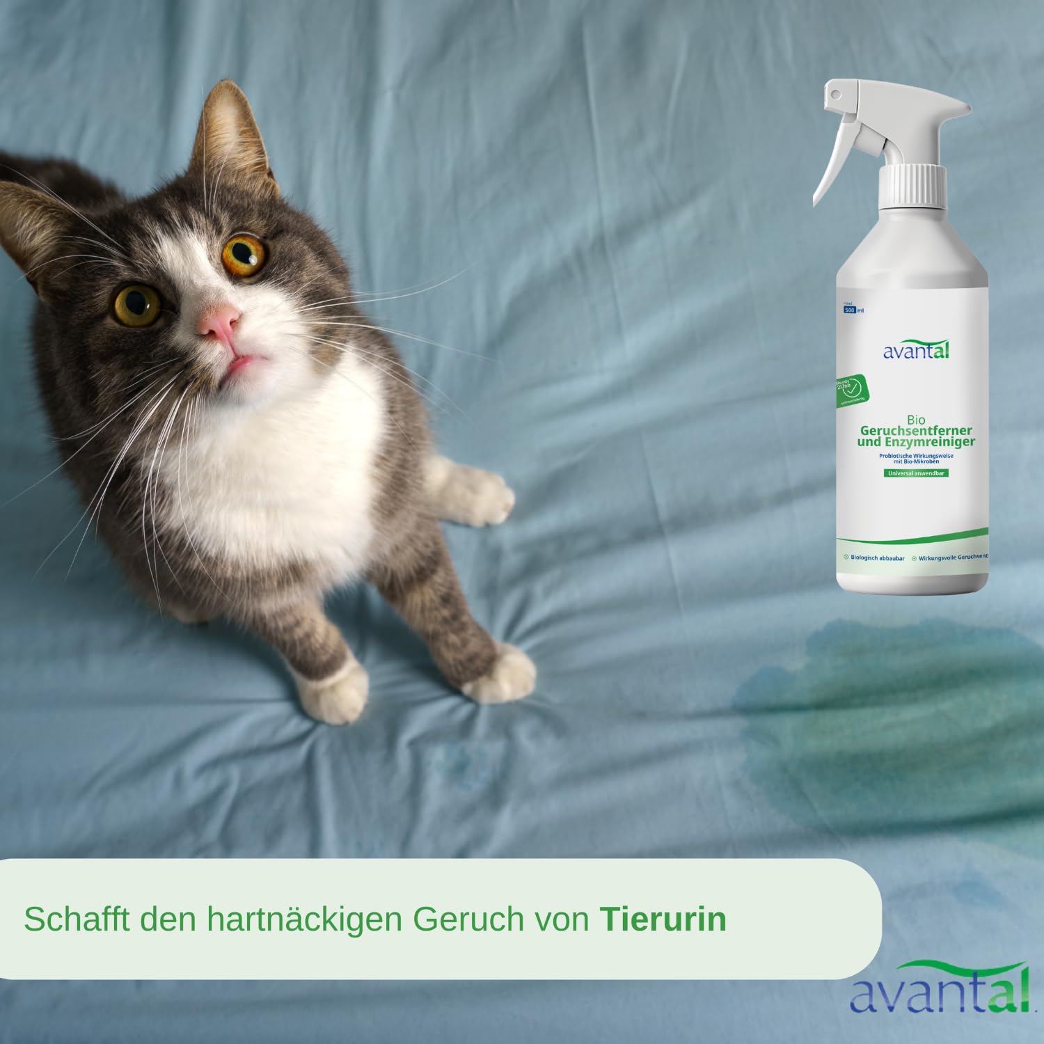 Neutralisateur d'odeurs | puissant désodorisant et nettoyant enzymatique 500 ml – Contre l'urine de chat, spray anti-urine pour chien, contre les odeurs désagréables dans les pièces, les