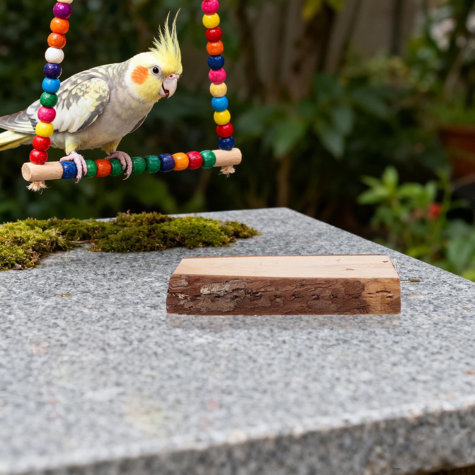 SHINEOFI 5 Stück Holz Papageien Sitzstangen Große Natürliche Vogelstangen mit Seil Robuste Sitzstangen für Papageien und Exotische Vögel im Käfig Gesundheitsfördernd und Vielseitig