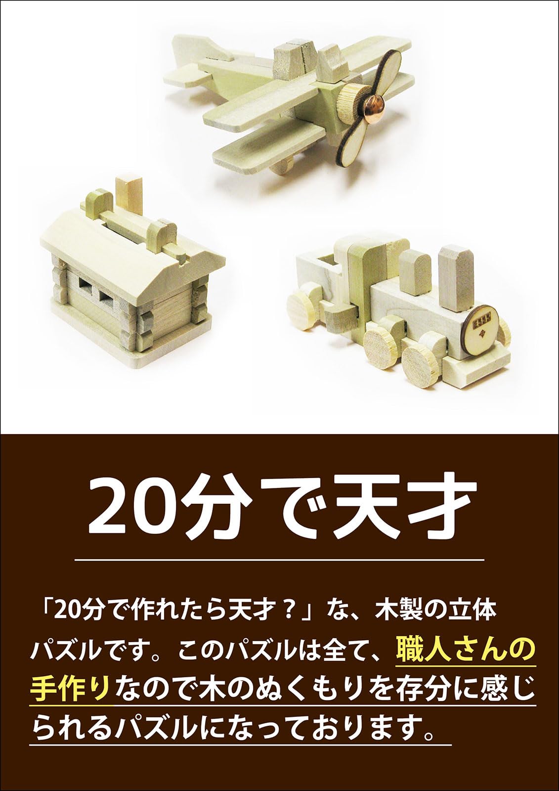 Amazon.co.jp: 20分で天才 頭の体操 木製パズル 飛行機 SL 山小屋