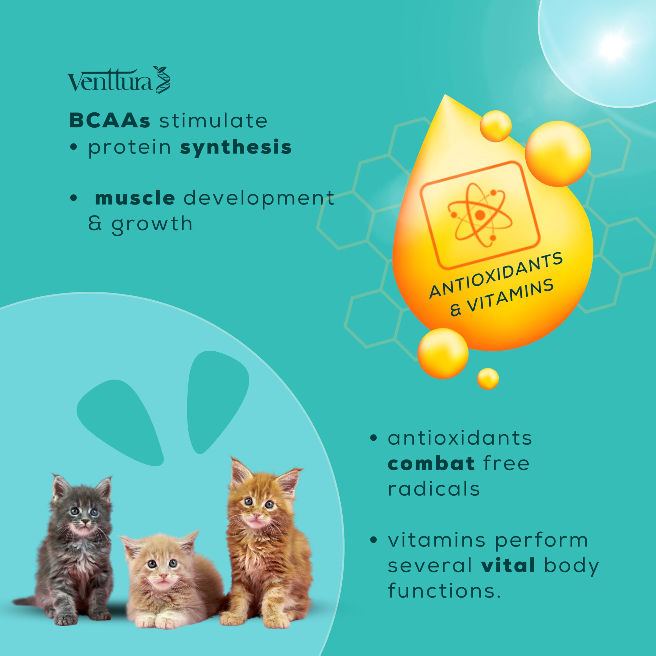 Venttura Amino+ Cat Supplement for Better Health | Amino Acids & Vitamins Suspension | for Overall Health, Growth & Immunity | Cat Supplement for All Life Stages (100 ml Suspension) 3