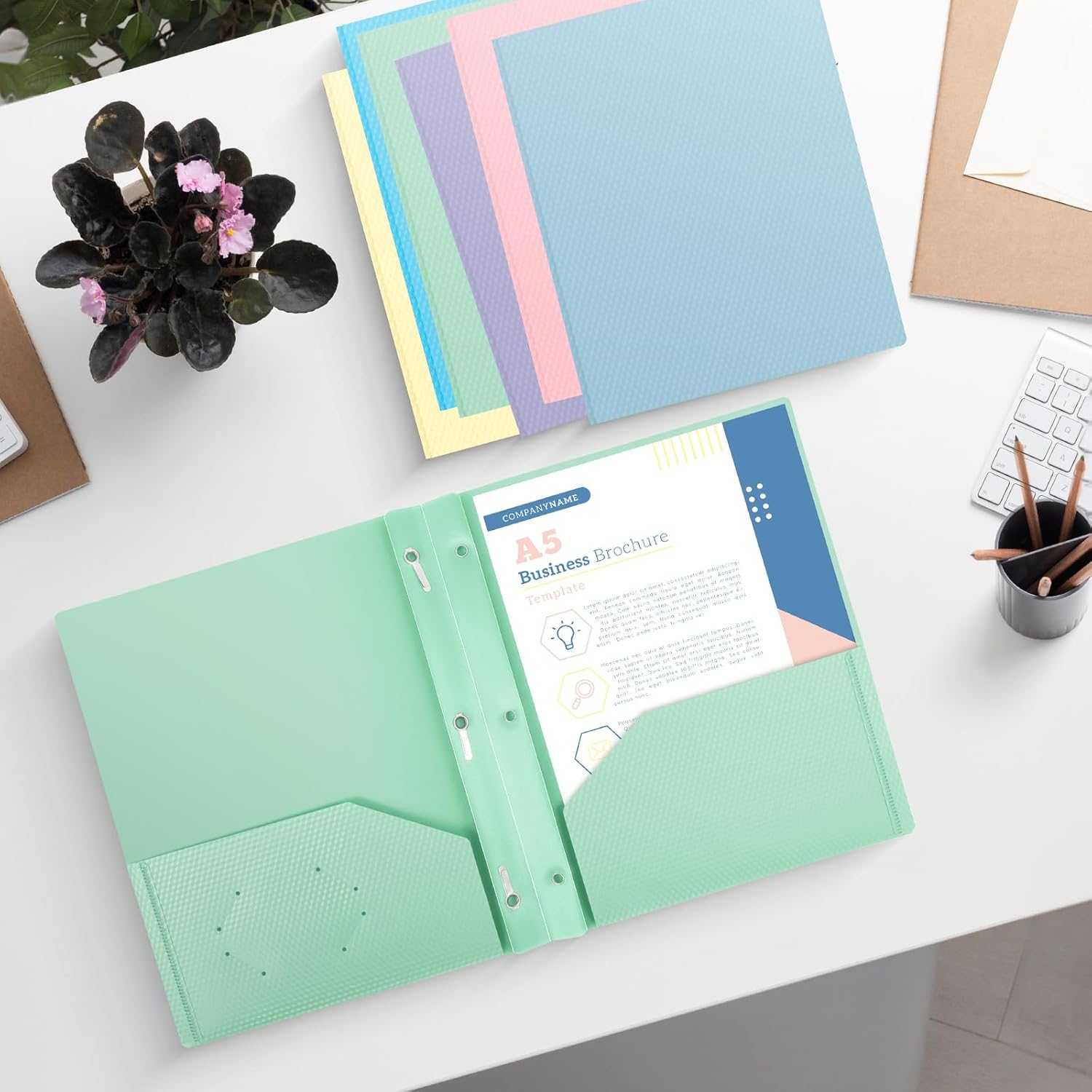 24-Pack Plastic andPockets and Prongs,2-Pocket and3 Fasteners, Pastel Folders Holds 8-1/2" x 11" Paper for School/Office/Home, Green