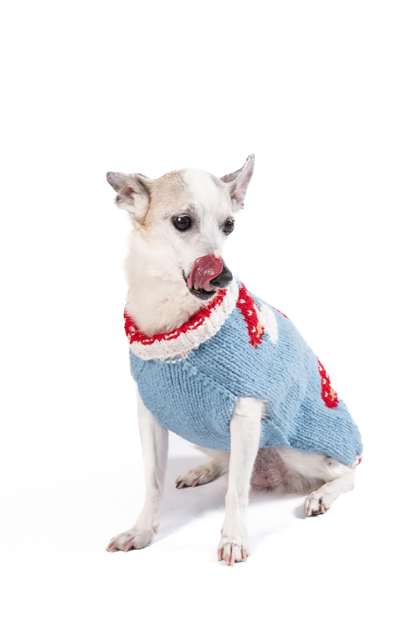 Chilly Dog Mushroom Sweater (Small)