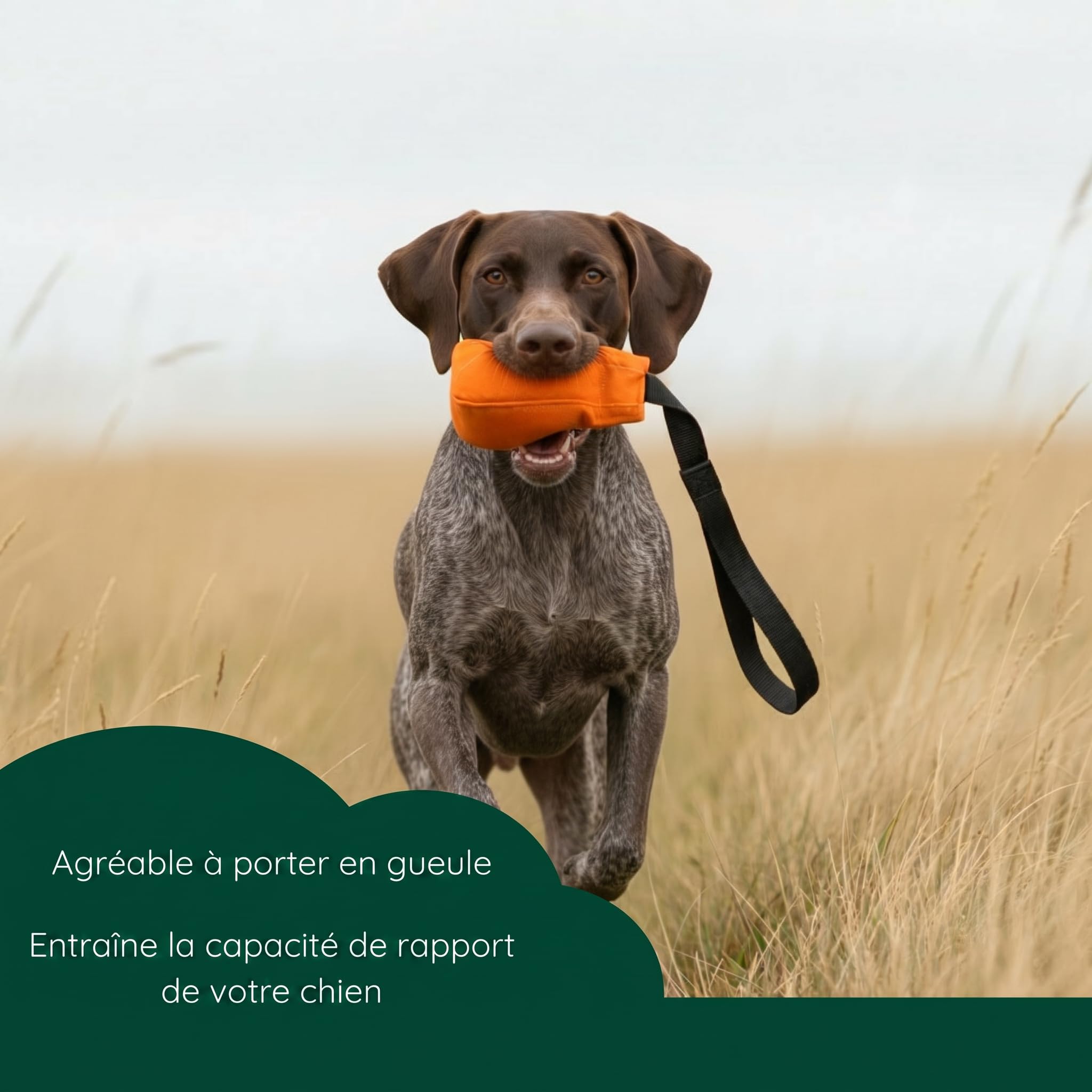 Romneys Dummy Ball SpeedUp - 150 g - Avec ruban extra long (orange)