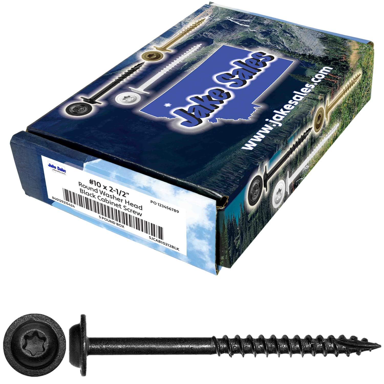 #10 x 3 Round Washer Head - Torx Drive Wood Screws. Multipurpose Cabinet, Furniture, Siding and Trim and General Construction - 5 Pounds ~305 Screws