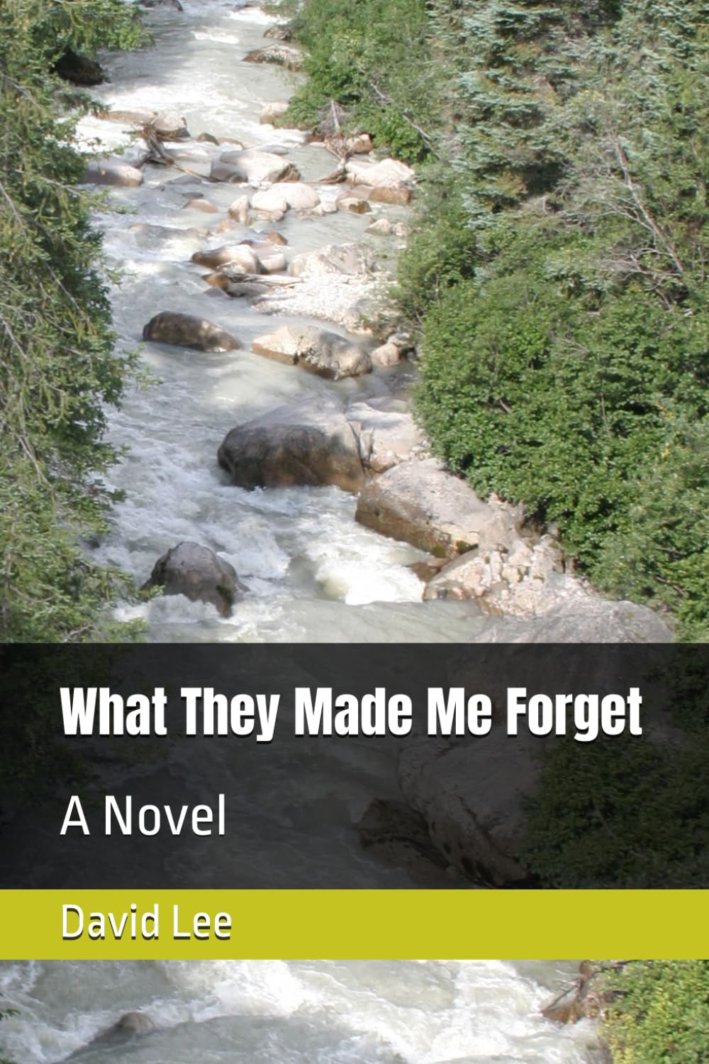 What They Made Me Forget: A Novel