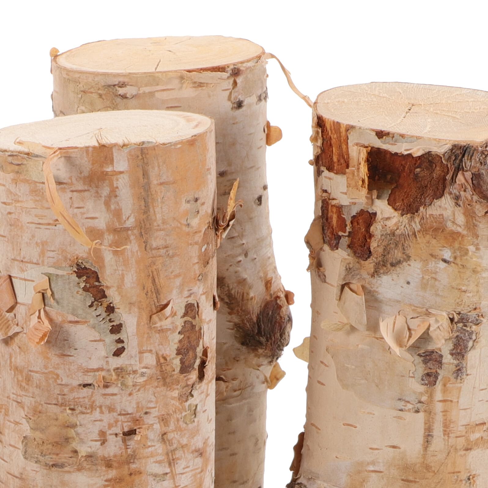 Tronchi Decorativi di Betulla Naturali 4 Pezzi per Decorazione | Legno Leggero, Adatti a Progetti Fai da Te e Composizioni Artistiche, Finitura Artigianale senza Trattamenti