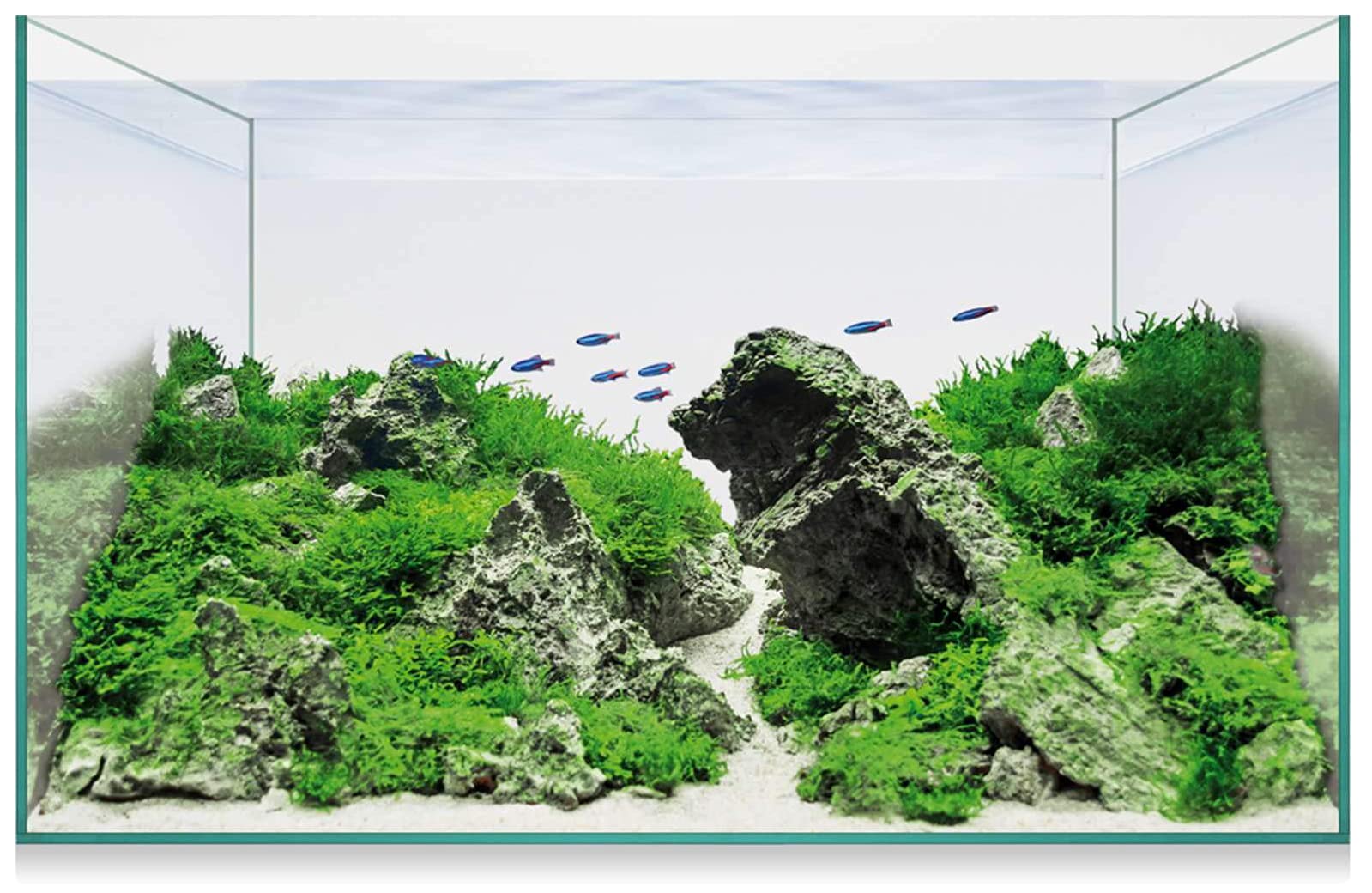 ICA AAQ14 Urna Aquascape Basic 14 de 12,7L para Acuarios, 35x20x21 cm