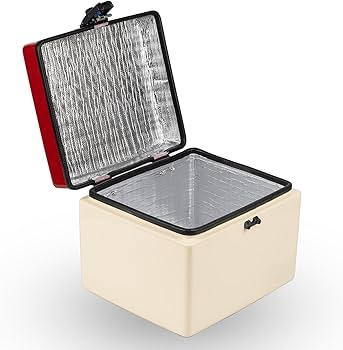 Amazon | HI-LINE バイク リアボックス 43L スーパーカブ50/110 HELLO