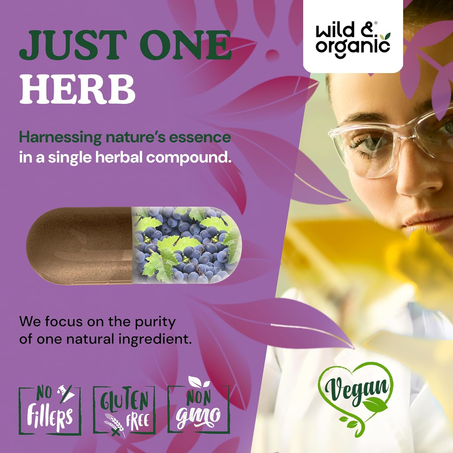 Wild & Organic Grape Seed Extract Capsules - 20,000 mg Strength Grapeseed Extract Equivalent - 95% Polyphenols - 400 mg per Serving - 120 Vegan Capsules - 4 Month Supply - Non-GMO - Image 5