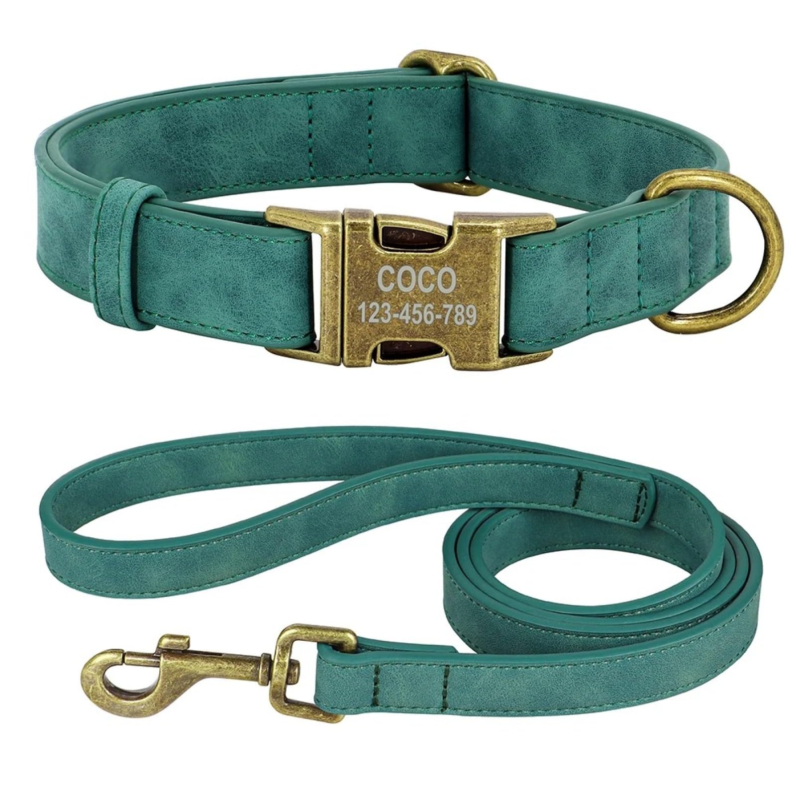 Ensemble laisse et collier de chien en cuir vert taille L pour la marche