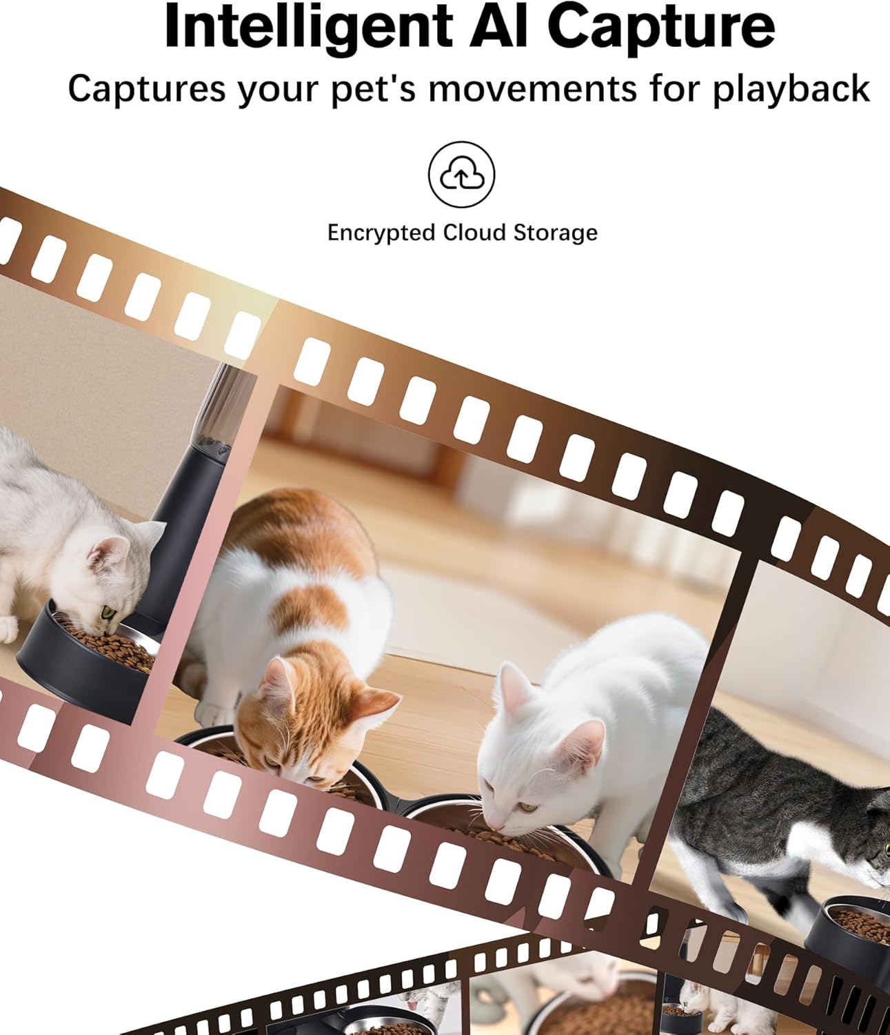 Automatic Cat Feeder, Camera Auto 2 Cats Dispenser 5L Microchip WiFi 2.4G&5G Timed Dual Pet Smart APP Dry Food Self Feeding Container Station (Black)