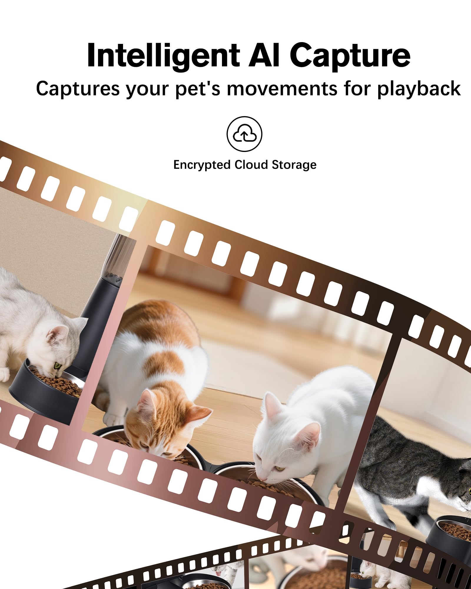 Automatic Cat Feeder, Camera Auto 2 Cats Dispenser 5L Microchip WiFi 2.4G&5G Timed Dual Pet Smart APP Dry Food Self Feeding Container Station (Black) - image 5