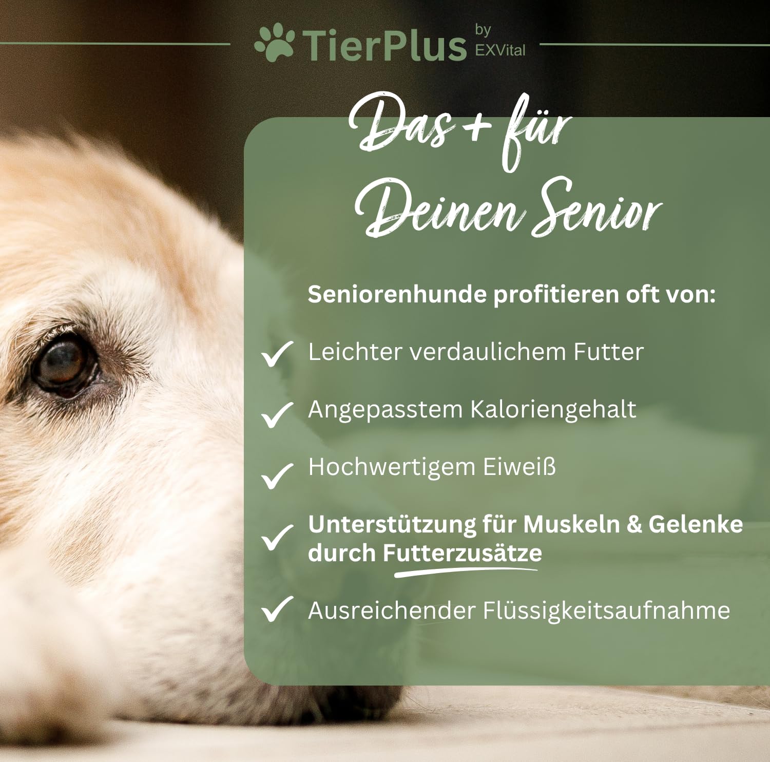 Long Life Vitalkomplex für Hunde -Gesundheit & Vitalität für Senior Hunde, mit Omega 3 Fettsäuren, Curcuma, Mariendistel, Propolis u.v.m, 180g pro Dose, leckeres Futtertopping