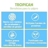 Ver la foto 5