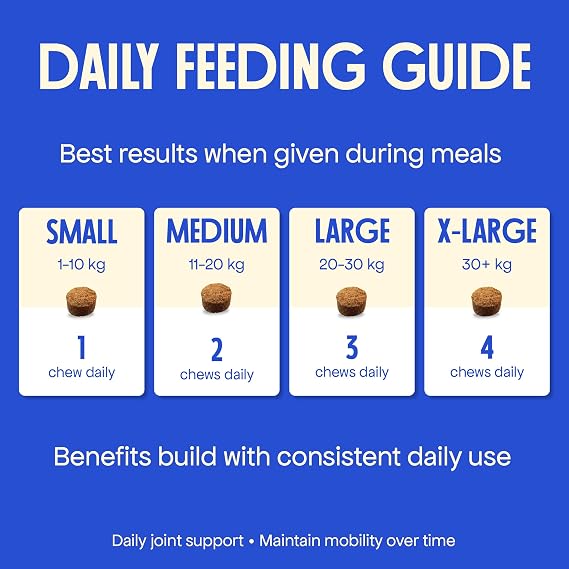 15-in-1 Multivitamin Chews for All Dogs, Support Metabolism with B Vitamins, Zinc, Biotin, Vitamin C & E, Bones & Muscle Recovery, Immunity Support - 60 Soft Chews, BROONO Vitamineral Complex