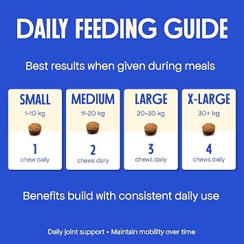 15-in-1 Multivitamin Chews for All Dogs, Support Metabolism with B Vitamins, Zinc, Biotin, Vitamin C & E, Bones & Muscle Recovery, Immunity Support - 60 Soft Chews, BROONO Vitamineral Complex