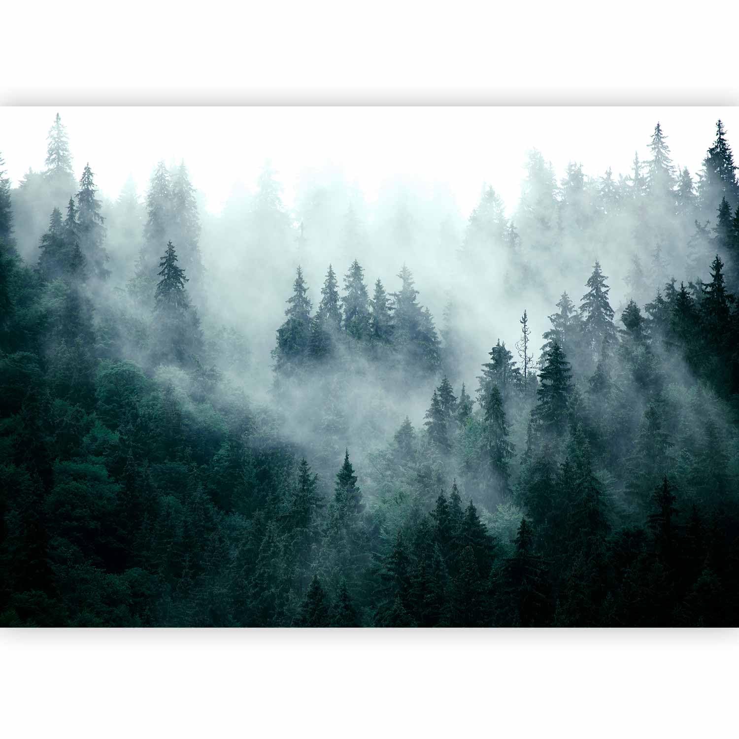 murando Photo Wallpaper Forest Fog 100x70 Centimetres Non-Woven Premium Art — image 1