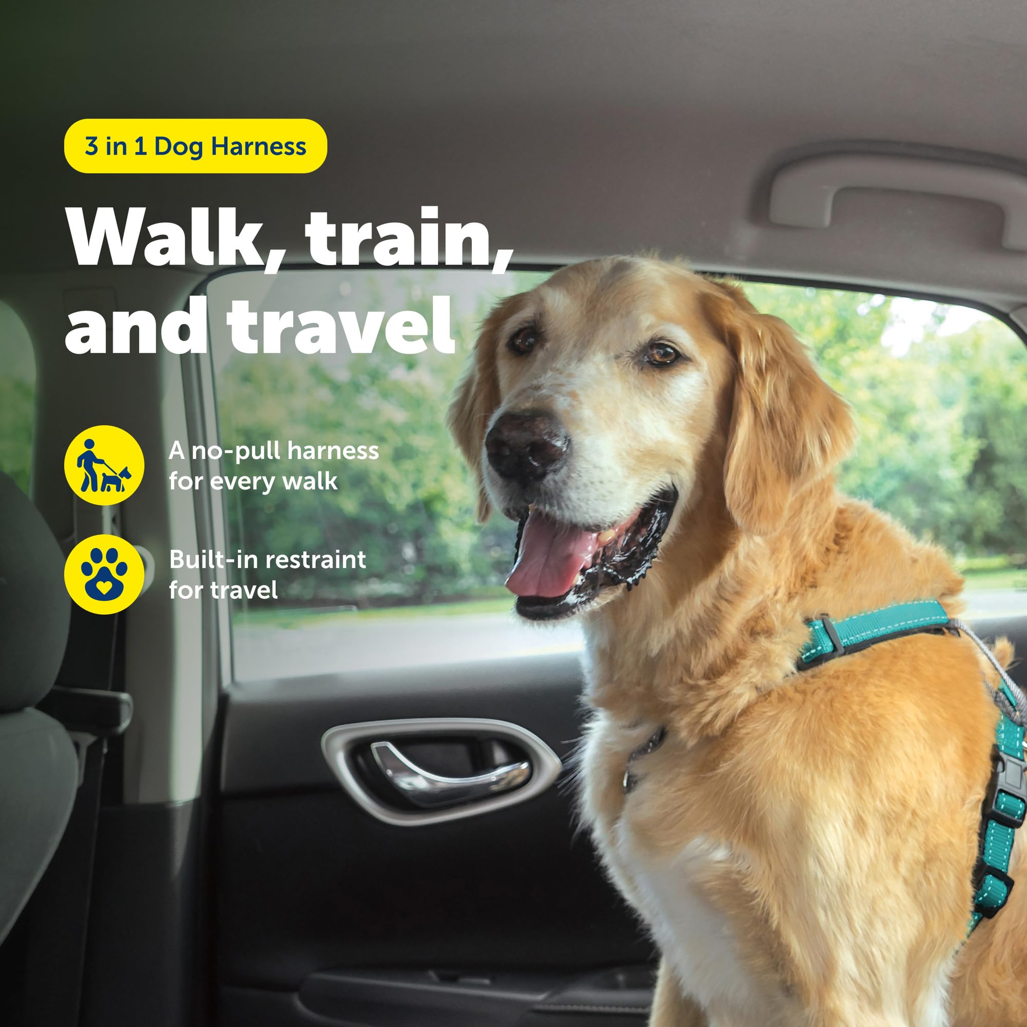 PetSafe : Harnais 3 en 1 et Dispositif de retenue pour Chien