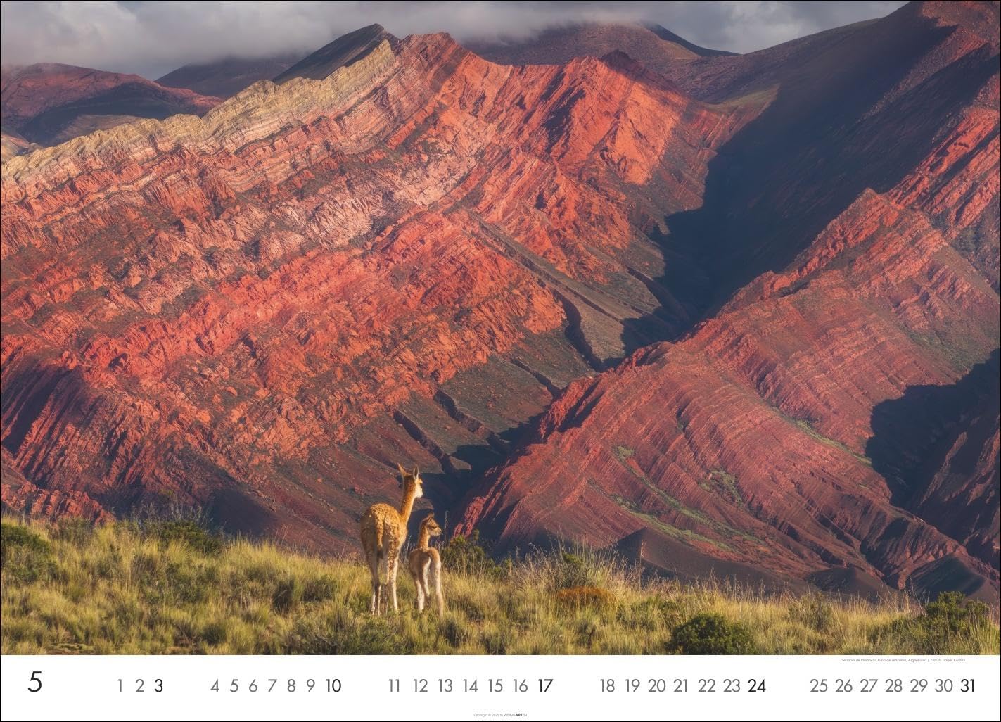 Die Erde Kalender 2026: Die schönsten Seiten unserer Welt in einem Naturkalender voll atemberaubender Fotos. Wandkalender 2026 im Format 68 x 49 cm