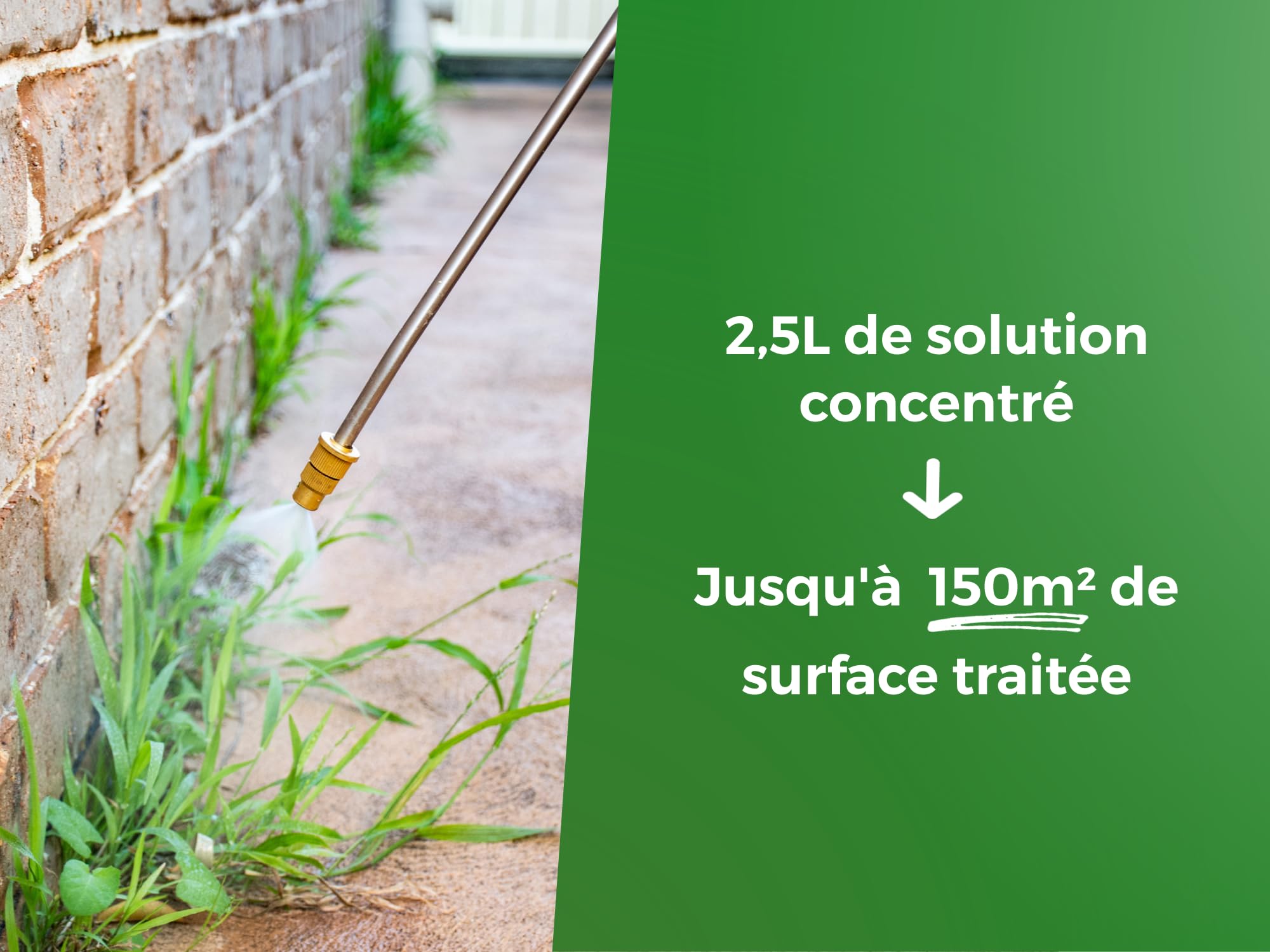 PROTECT EXPERT Désherbant Polyvalent Concentré 2,5L Jusqu’à 150m² Bidon Doseur PROHERBIO25N