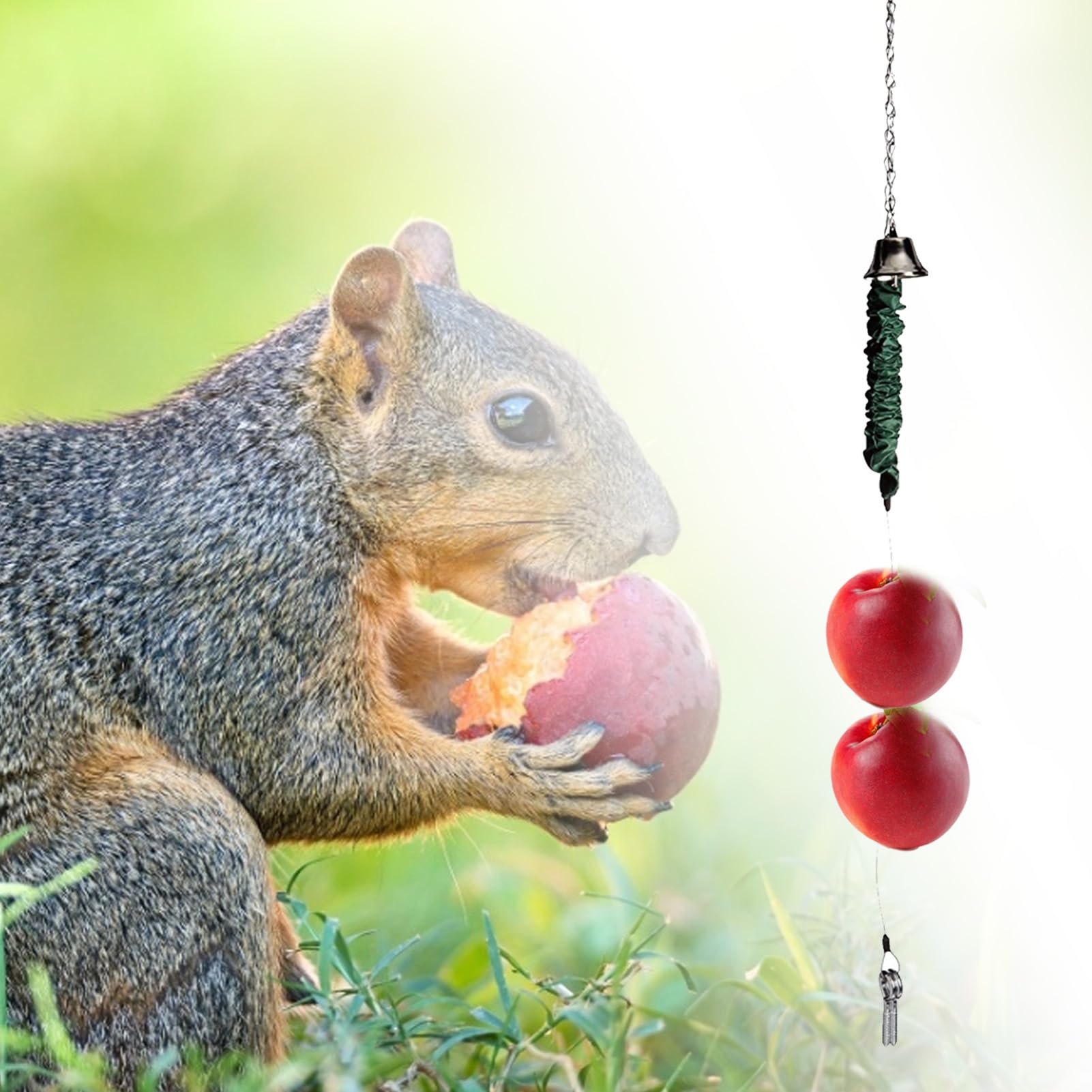 Mangiatoia per uccelli da giardino – Supporto per cibo giocattolo per | polli | Supporto per frutta, verdura, semi, ideale per uccelli da cortile, pollame e della fauna selvatica