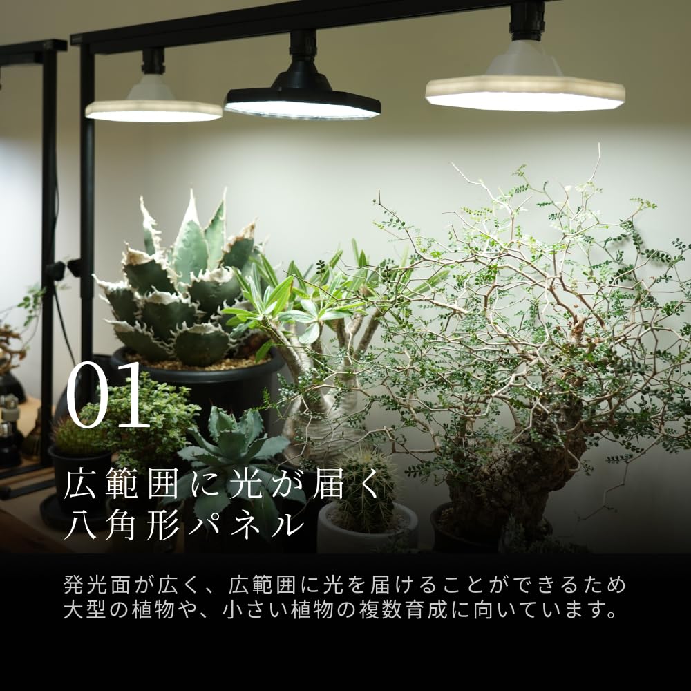 Amazon.co.jp: 【BARREL公式】ROKI-Octagon-50W ブラック 植物育成