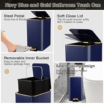 GOLD TRASH The Birthday 2CD＋Blu-ray 61+V34kJeRL._UF1000,1000_QL80_.jpg