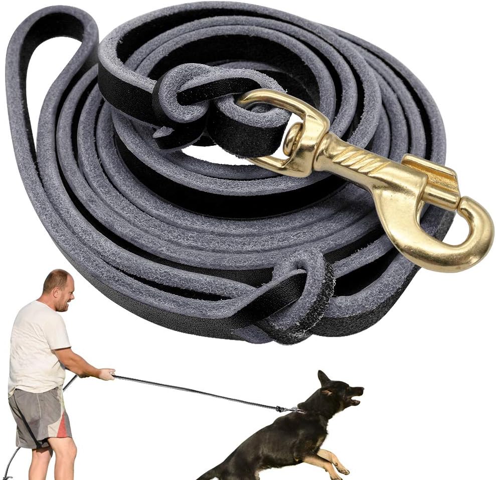 Didog Genuine Leather Dog Leashes, 8 Foot Professional Training Heavy Duty Dog Leashes, Fit Medium Large Dogs Walking Training…