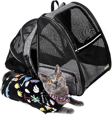 hiking cat backpack