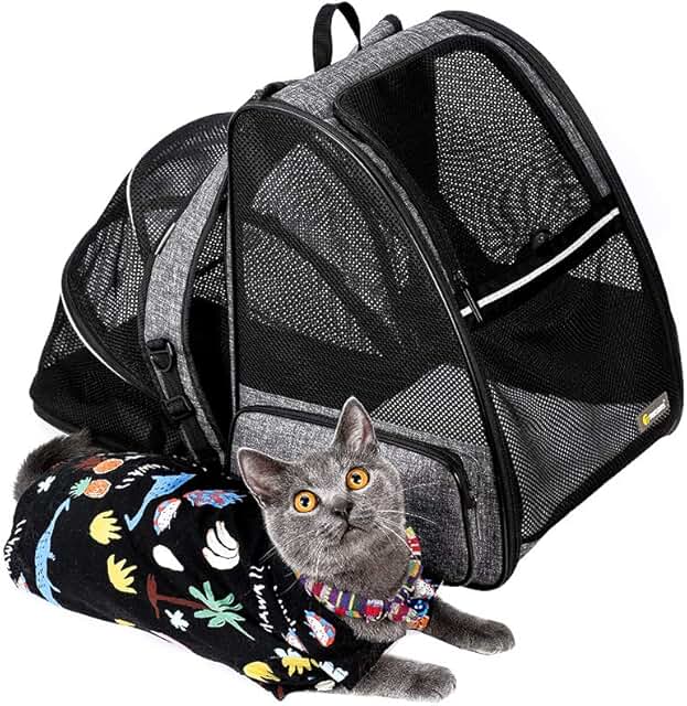 Amazon.ca cat backpack carrier